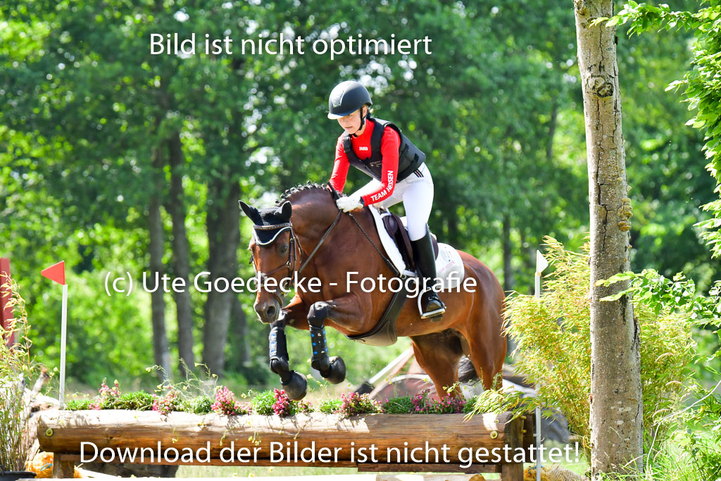 Goldene Schärpe Pferde  in Löningen  11+12.6.22 | 11062022 - Gelände 1 Abt_0687 