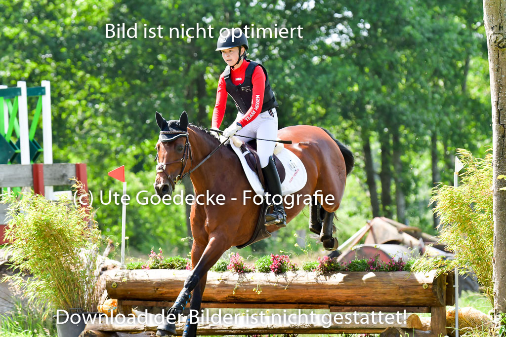 Goldene Schärpe Pferde  in Löningen  11+12.6.22 | 11062022 - Gelände 1 Abt_0688 