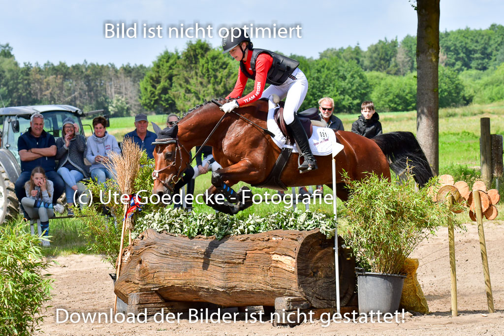 Goldene Schärpe Pferde  in Löningen  11+12.6.22 | 11062022 - Gelände 1 Abt_0692 