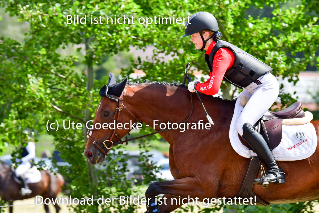 Goldene Schärpe Pferde  in Löningen  11+12.6.22 | 11062022 - Gelände 1 Abt_0695 