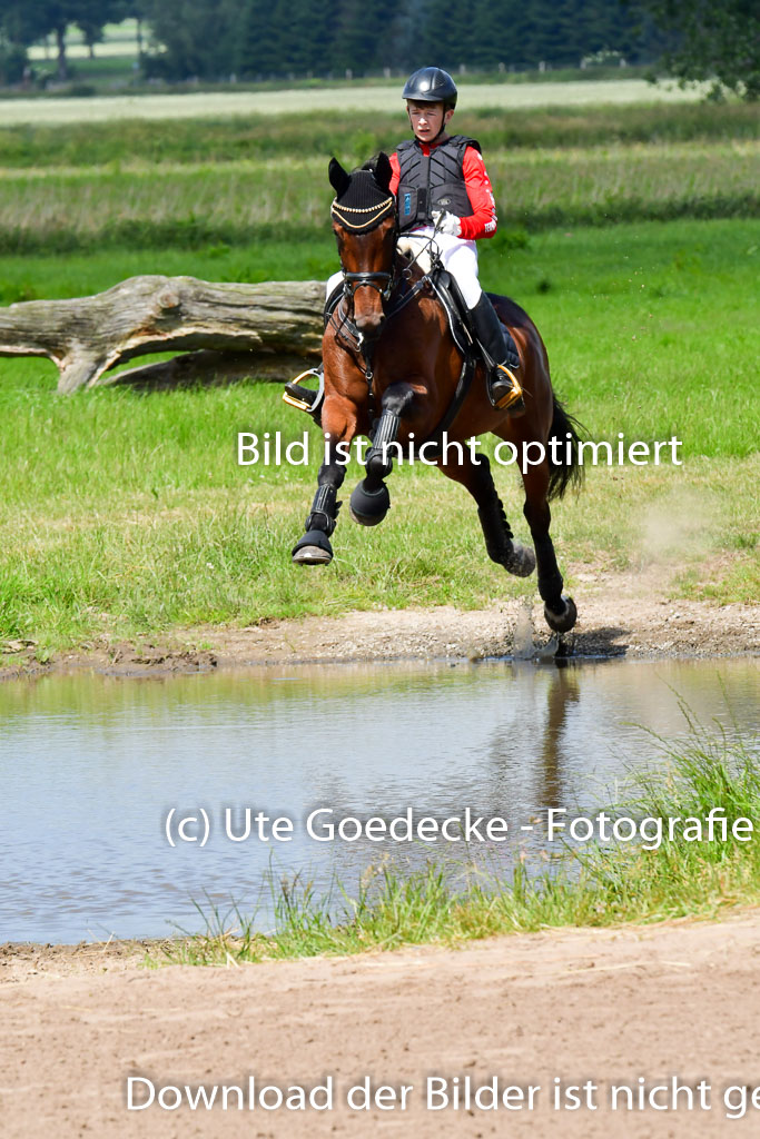 Goldene Schärpe Pferde  in Löningen  11+12.6.22 | 11062022 - Gelände 1 Abt_0698 