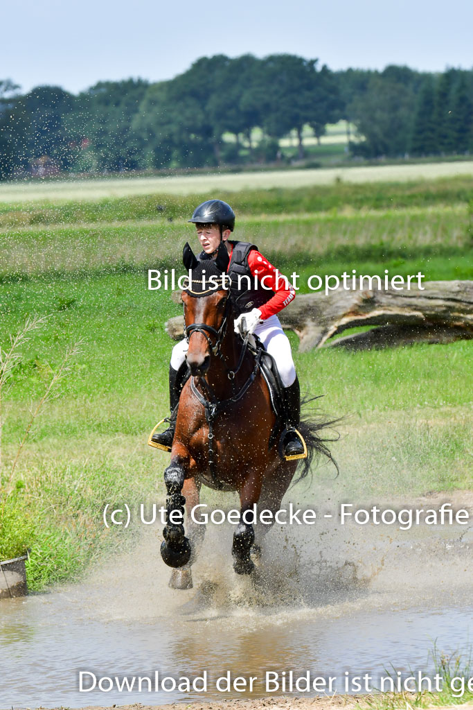 Goldene Schärpe Pferde  in Löningen  11+12.6.22 | 11062022 - Gelände 1 Abt_0704