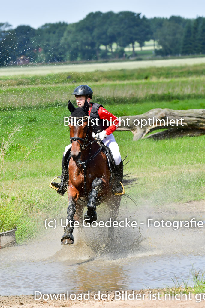 Goldene Schärpe Pferde  in Löningen  11+12.6.22 | 11062022 - Gelände 1 Abt_0705 