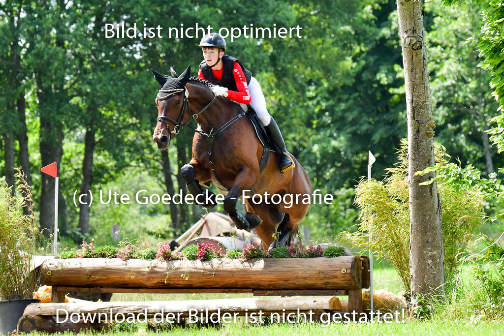 Goldene Schärpe Pferde  in Löningen  11+12.6.22 | 11062022 - Gelände 1 Abt_0709 