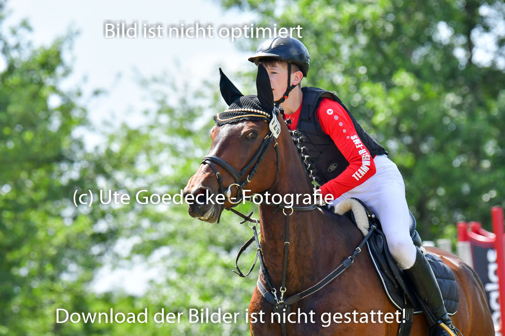 Goldene Schärpe Pferde  in Löningen  11+12.6.22 | 11062022 - Gelände 1 Abt_0711 