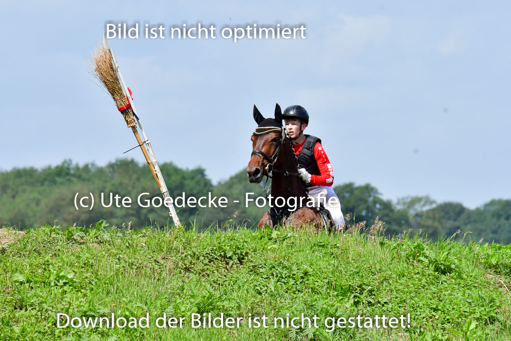 Goldene Schärpe Pferde  in Löningen  11+12.6.22 | 11062022 - Gelände 1 Abt_0713 