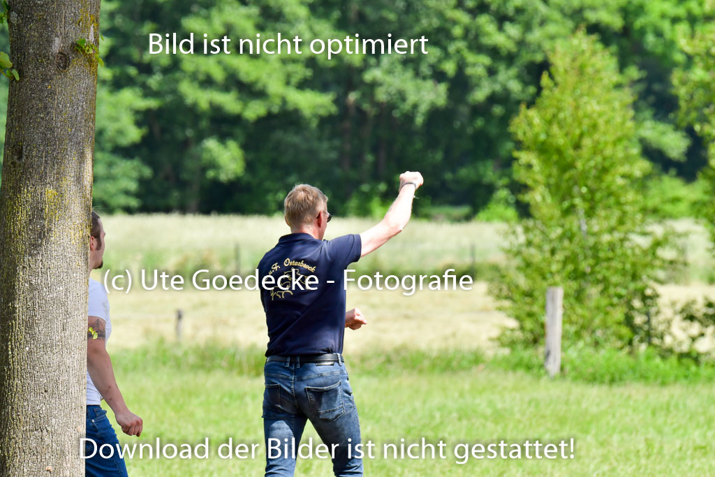 Goldene Schärpe Pferde  in Löningen  11+12.6.22 | 11062022 - Gelände 1 Abt_0721 