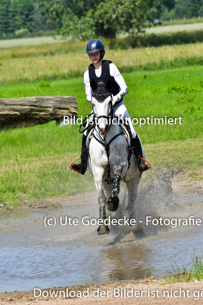 Goldene Schärpe Pferde  in Löningen  11+12.6.22 | 11062022 - Gelände 1 Abt_0727