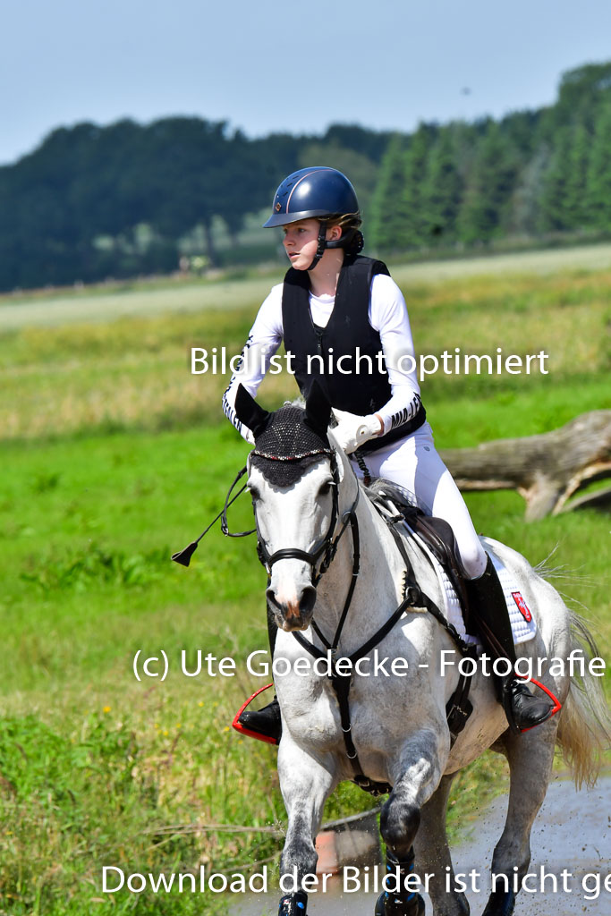 Goldene Schärpe Pferde  in Löningen  11+12.6.22 | 11062022 - Gelände 1 Abt_0731 