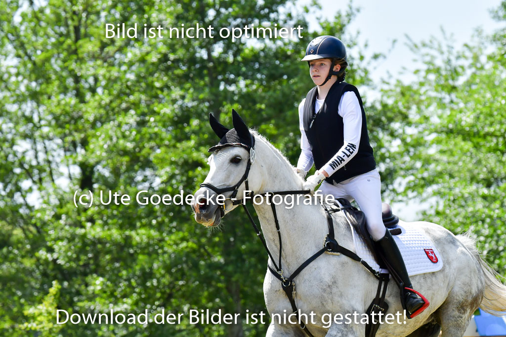 Goldene Schärpe Pferde  in Löningen  11+12.6.22 | 11062022 - Gelände 1 Abt_0734 