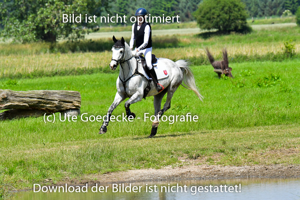 Goldene Schärpe Pferde  in Löningen  11+12.6.22 | 11062022 - Gelände 1 Abt_0735 