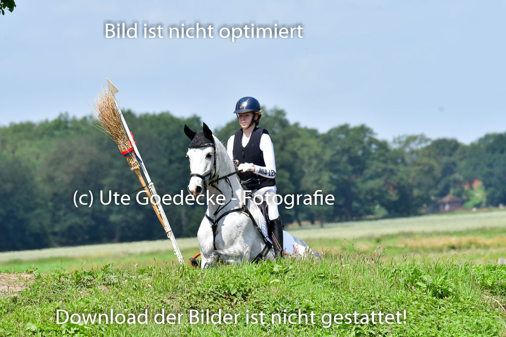 Goldene Schärpe Pferde  in Löningen  11+12.6.22 | 11062022 - Gelände 1 Abt_0737 