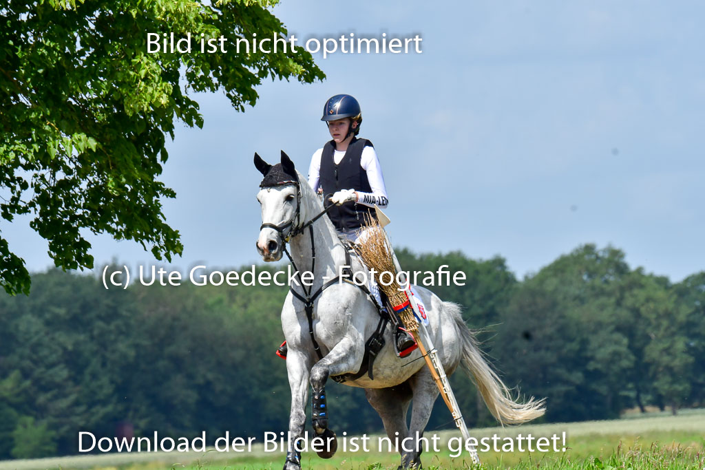Goldene Schärpe Pferde  in Löningen  11+12.6.22 | 11062022 - Gelände 1 Abt_0739
