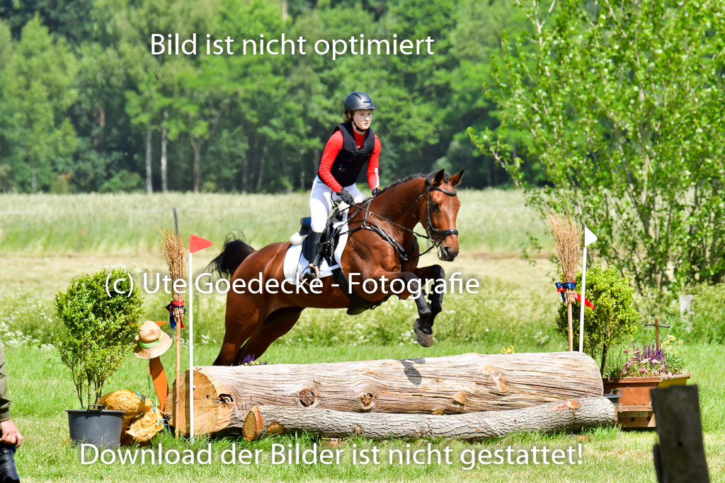 Goldene Schärpe Pferde  in Löningen  11+12.6.22 | 11062022 - Gelände 1 Abt_0745 
