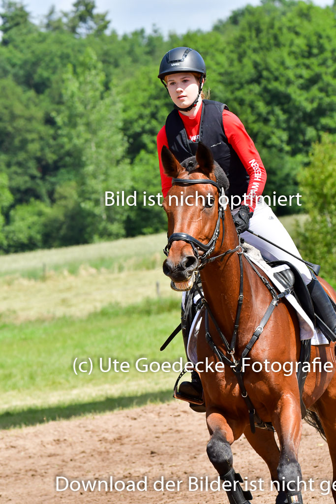 Goldene Schärpe Pferde  in Löningen  11+12.6.22 | 11062022 - Gelände 1 Abt_0748 