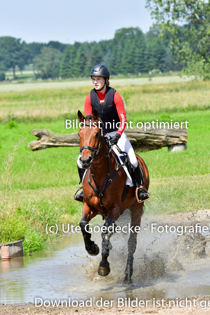 Goldene Schärpe Pferde  in Löningen  11+12.6.22 | 11062022 - Gelände 1 Abt_0752 