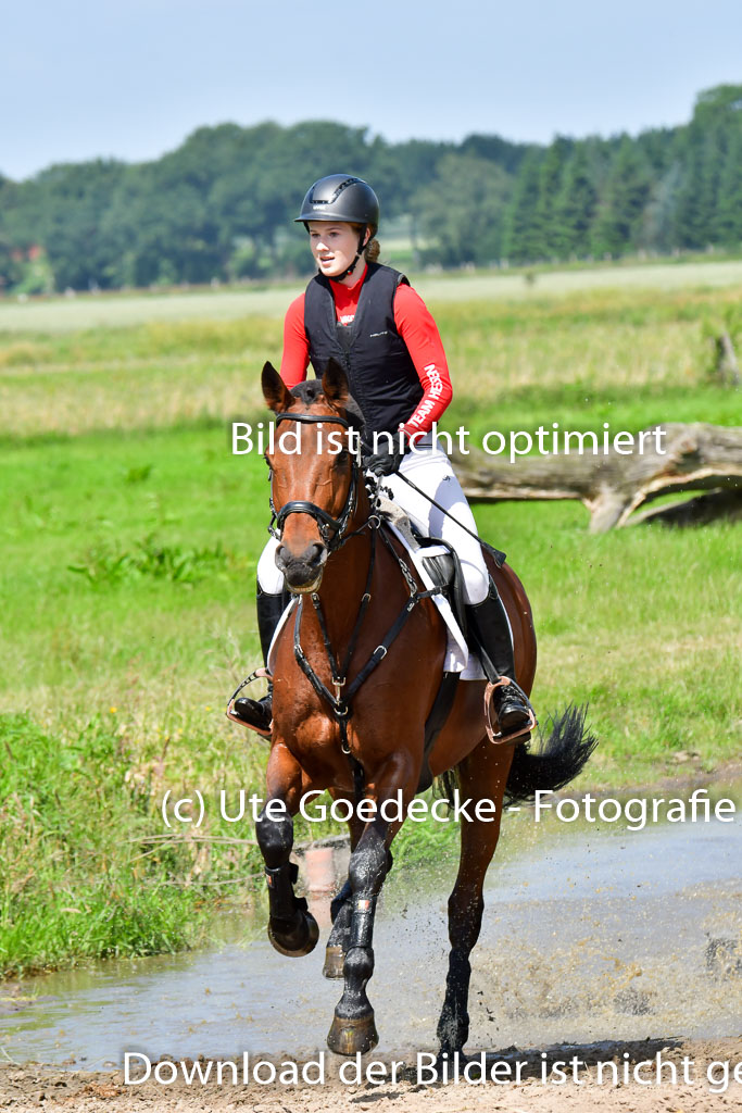 Goldene Schärpe Pferde  in Löningen  11+12.6.22 | 11062022 - Gelände 1 Abt_0753 