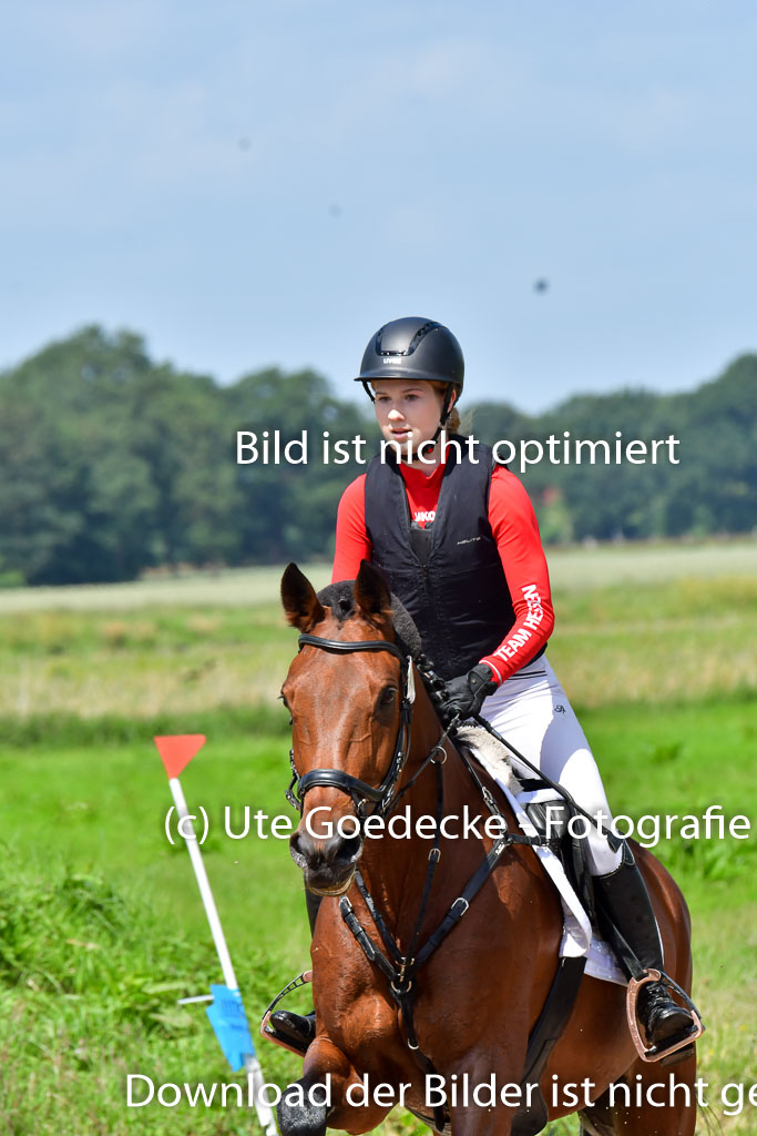 Goldene Schärpe Pferde  in Löningen  11+12.6.22 | 11062022 - Gelände 1 Abt_0754 