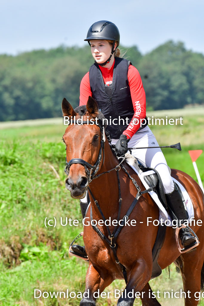 Goldene Schärpe Pferde  in Löningen  11+12.6.22 | 11062022 - Gelände 1 Abt_0755