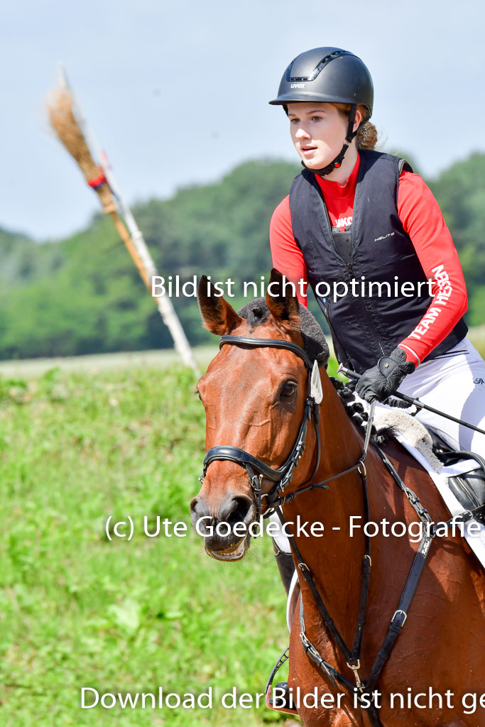 Goldene Schärpe Pferde  in Löningen  11+12.6.22 | 11062022 - Gelände 1 Abt_0756 