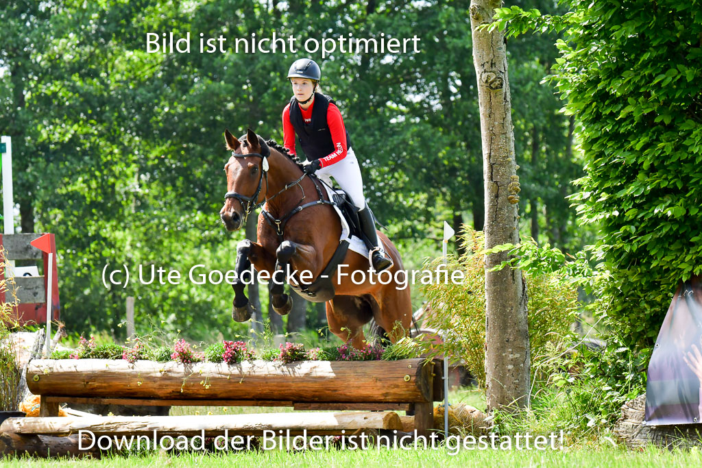 Goldene Schärpe Pferde  in Löningen  11+12.6.22 | 11062022 - Gelände 1 Abt_0757 
