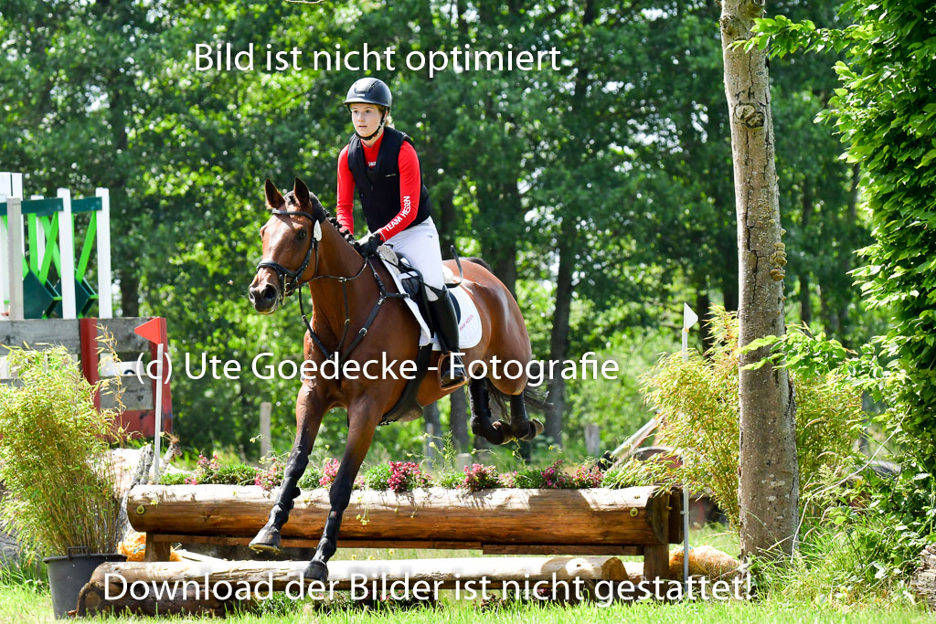 Goldene Schärpe Pferde  in Löningen  11+12.6.22 | 11062022 - Gelände 1 Abt_0759 