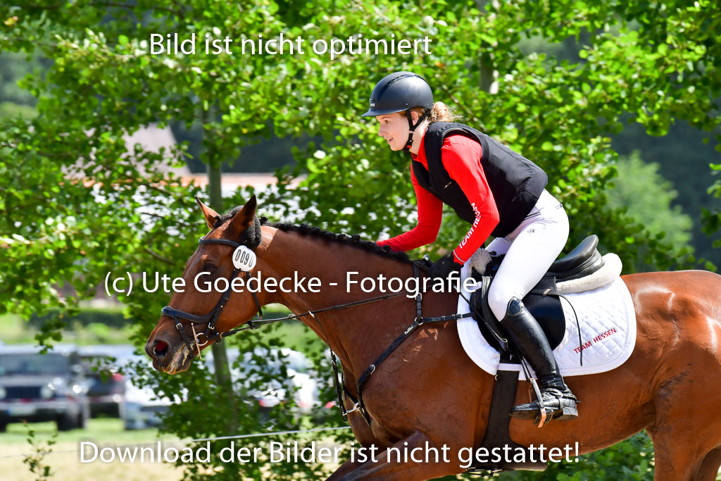 Goldene Schärpe Pferde  in Löningen  11+12.6.22 | 11062022 - Gelände 1 Abt_0765 