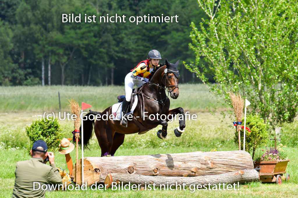 Goldene Schärpe Pferde  in Löningen  11+12.6.22 | 11062022 - Gelände 1 Abt_0767 