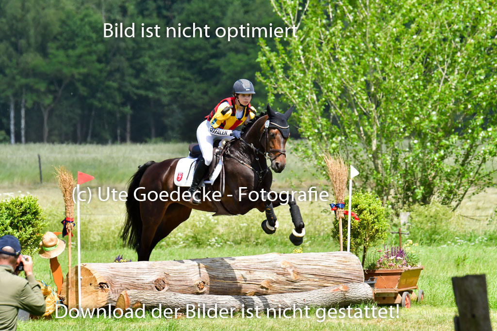 Goldene Schärpe Pferde  in Löningen  11+12.6.22 | 11062022 - Gelände 1 Abt_0768 