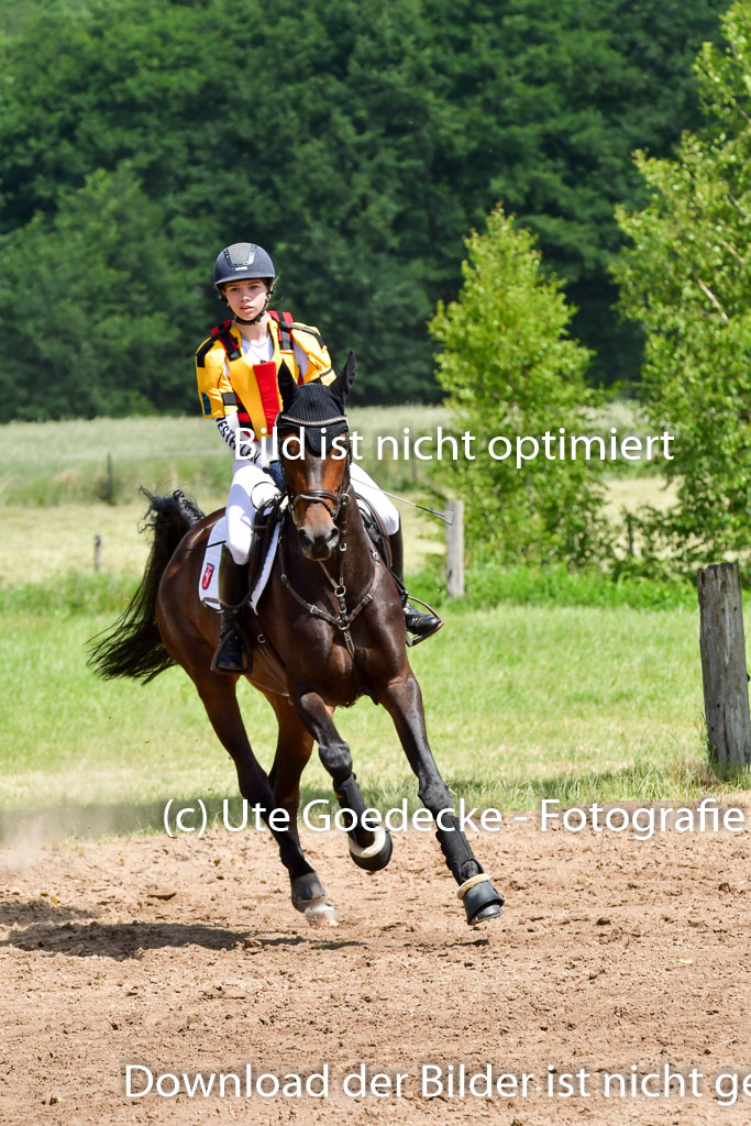 Goldene Schärpe Pferde  in Löningen  11+12.6.22 | 11062022 - Gelände 1 Abt_0769 