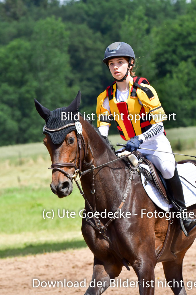 Goldene Schärpe Pferde  in Löningen  11+12.6.22 | 11062022 - Gelände 1 Abt_0770 