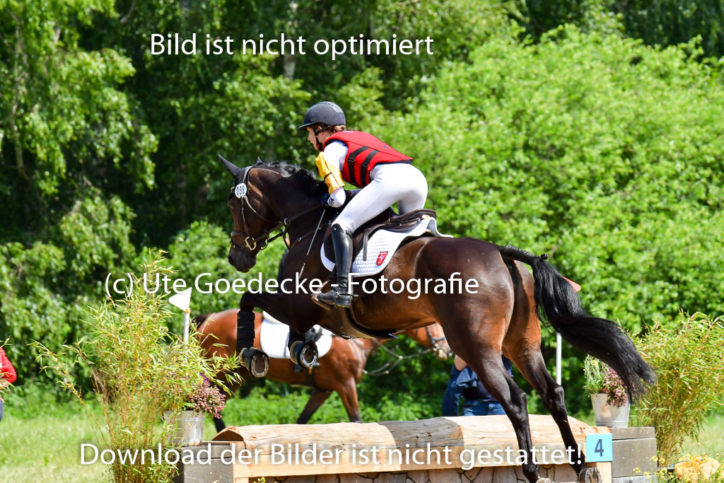 Goldene Schärpe Pferde  in Löningen  11+12.6.22 | 11062022 - Gelände 1 Abt_0771 