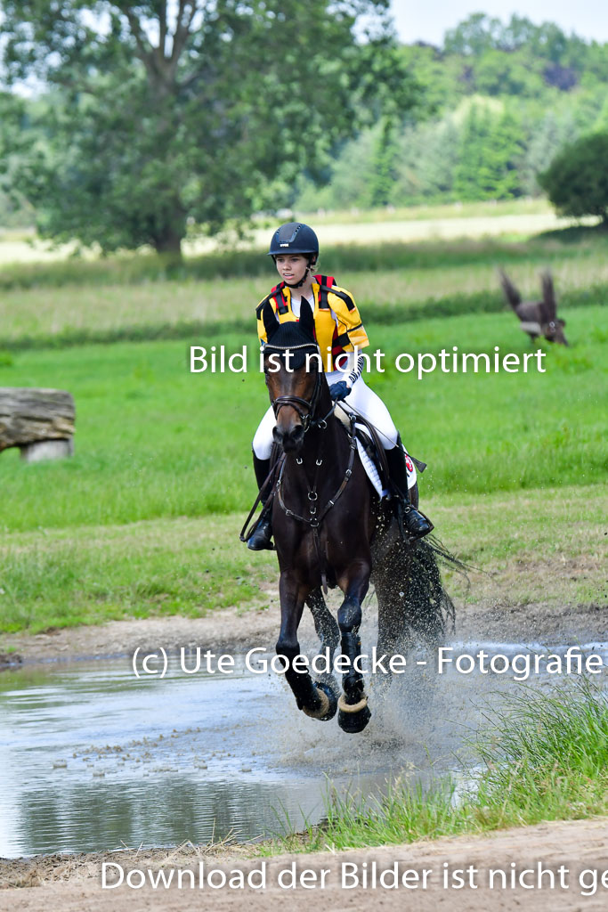 Goldene Schärpe Pferde  in Löningen  11+12.6.22 | 11062022 - Gelände 1 Abt_0773 
