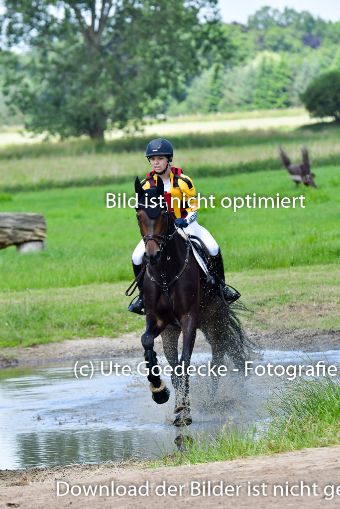 Goldene Schärpe Pferde  in Löningen  11+12.6.22 | 11062022 - Gelände 1 Abt_0774 