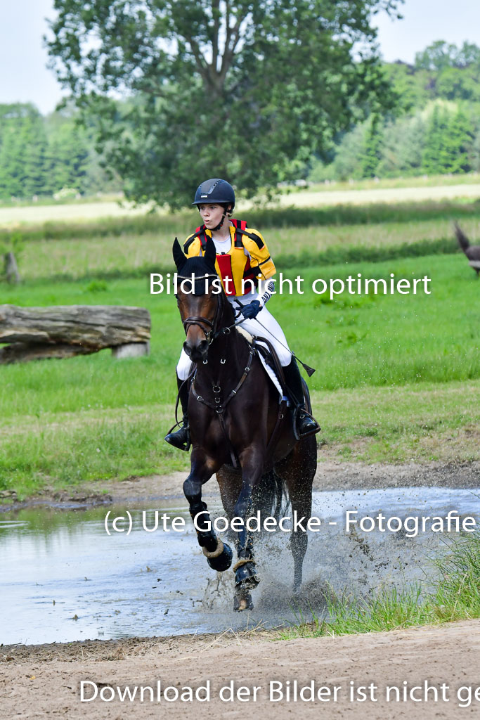 Goldene Schärpe Pferde  in Löningen  11+12.6.22 | 11062022 - Gelände 1 Abt_0775 