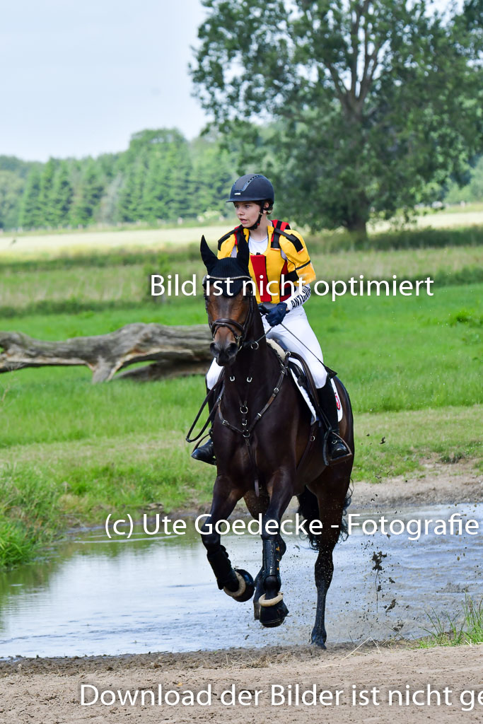 Goldene Schärpe Pferde  in Löningen  11+12.6.22 | 11062022 - Gelände 1 Abt_0776 