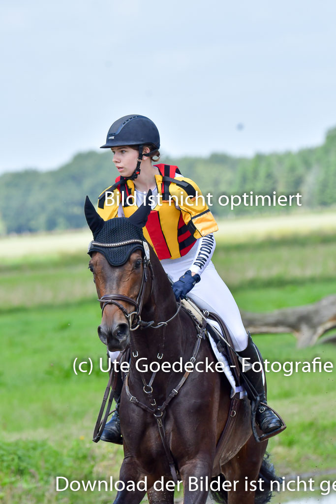 Goldene Schärpe Pferde  in Löningen  11+12.6.22 | 11062022 - Gelände 1 Abt_0777 