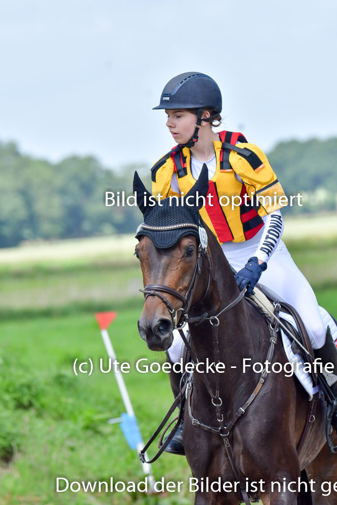 Goldene Schärpe Pferde  in Löningen  11+12.6.22 | 11062022 - Gelände 1 Abt_0778 
