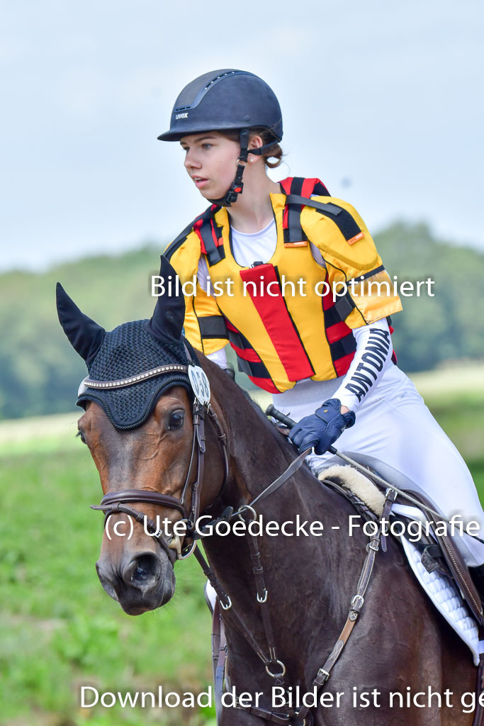 Goldene Schärpe Pferde  in Löningen  11+12.6.22 | 11062022 - Gelände 1 Abt_0779 