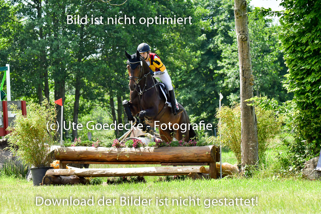 Goldene Schärpe Pferde  in Löningen  11+12.6.22 | 11062022 - Gelände 1 Abt_0780 
