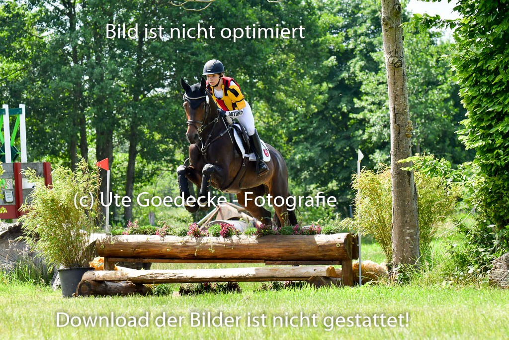 Goldene Schärpe Pferde  in Löningen  11+12.6.22 | 11062022 - Gelände 1 Abt_0781 