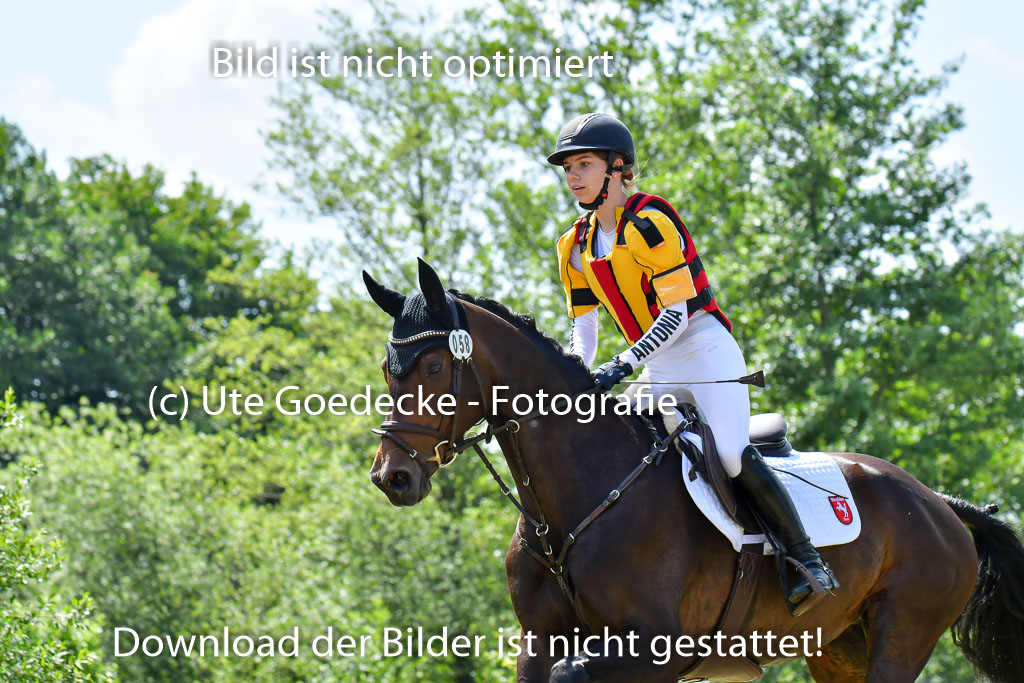 Goldene Schärpe Pferde  in Löningen  11+12.6.22 | 11062022 - Gelände 1 Abt_0782 
