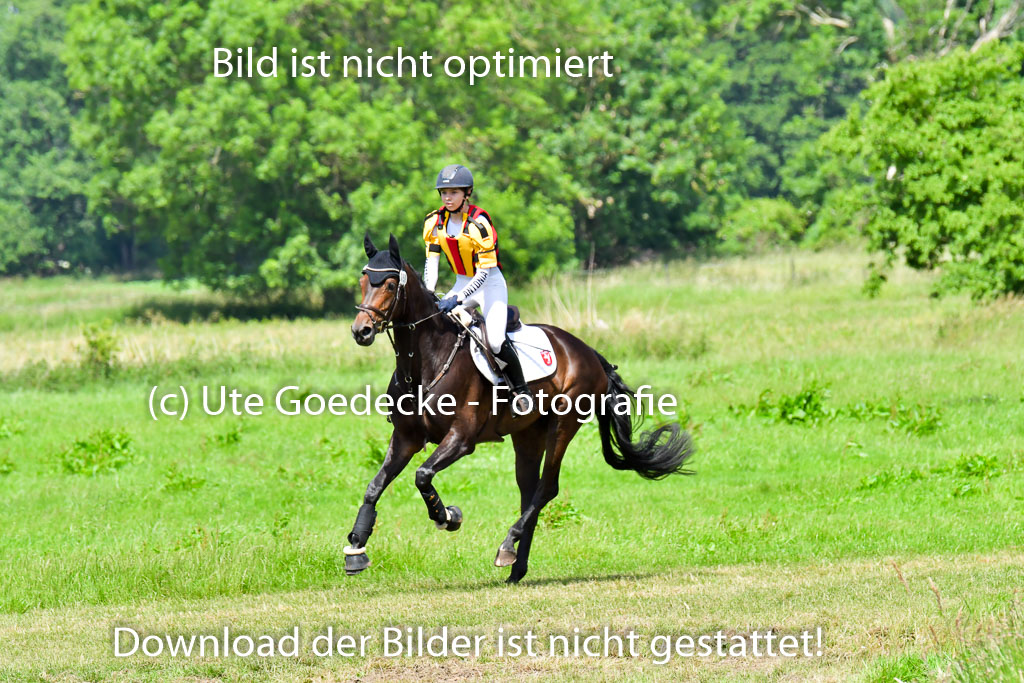 Goldene Schärpe Pferde  in Löningen  11+12.6.22 | 11062022 - Gelände 1 Abt_0783 
