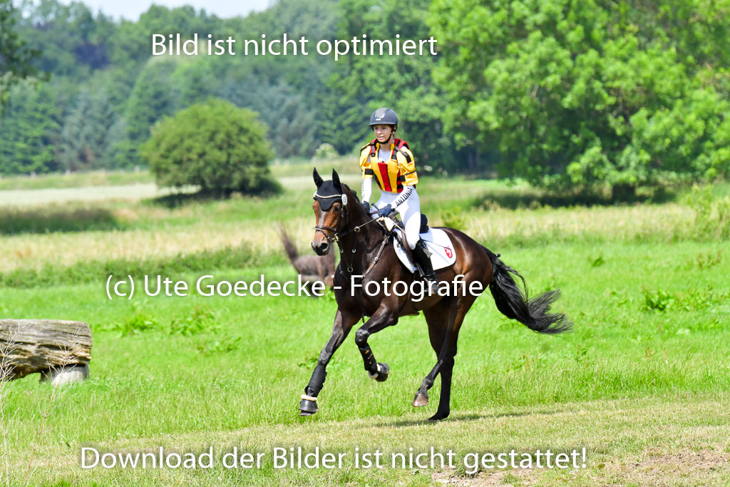 Goldene Schärpe Pferde  in Löningen  11+12.6.22 | 11062022 - Gelände 1 Abt_0784 