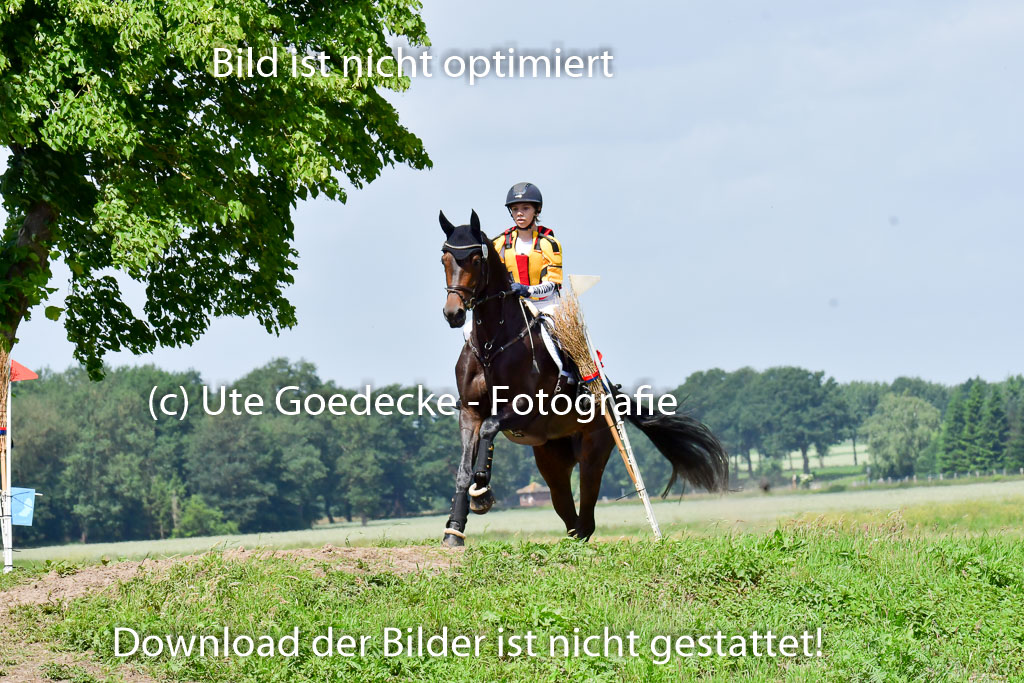Goldene Schärpe Pferde  in Löningen  11+12.6.22 | 11062022 - Gelände 1 Abt_0785 