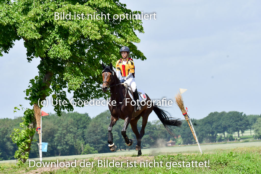 Goldene Schärpe Pferde  in Löningen  11+12.6.22 | 11062022 - Gelände 1 Abt_0786 