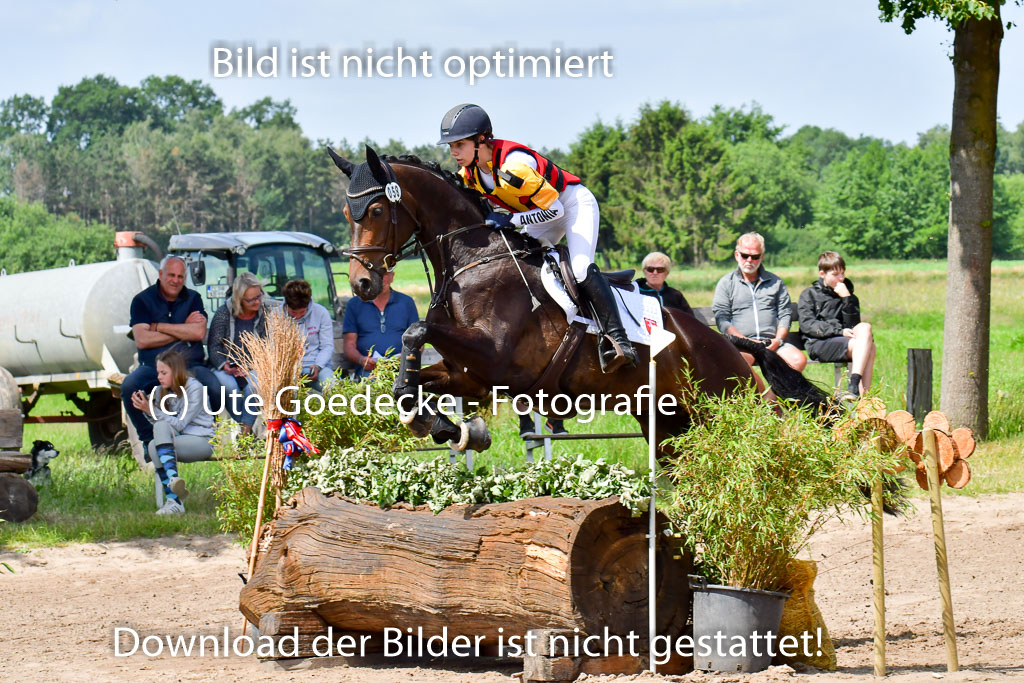 Goldene Schärpe Pferde  in Löningen  11+12.6.22 | 11062022 - Gelände 1 Abt_0787 