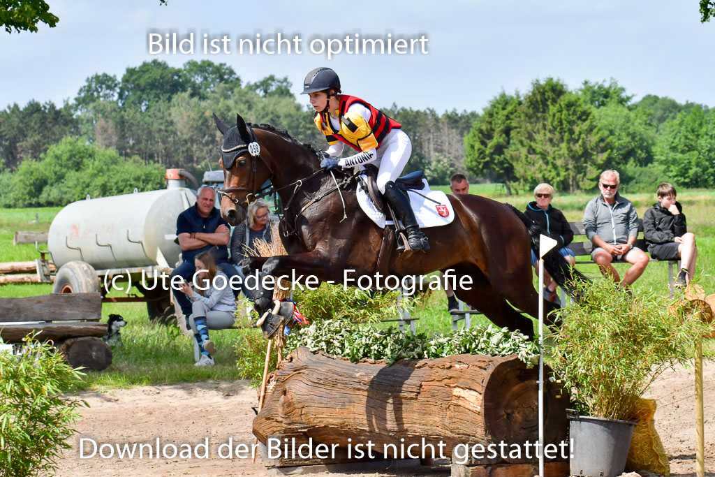 Goldene Schärpe Pferde  in Löningen  11+12.6.22 | 11062022 - Gelände 1 Abt_0788 
