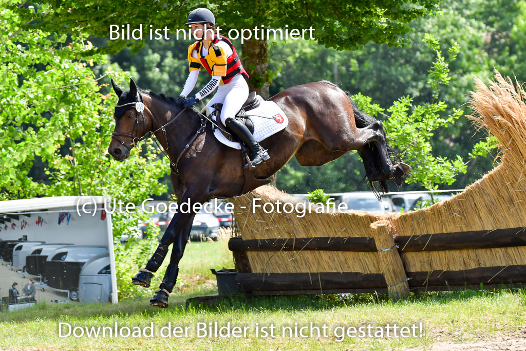 Goldene Schärpe Pferde  in Löningen  11+12.6.22 | 11062022 - Gelände 1 Abt_0791 