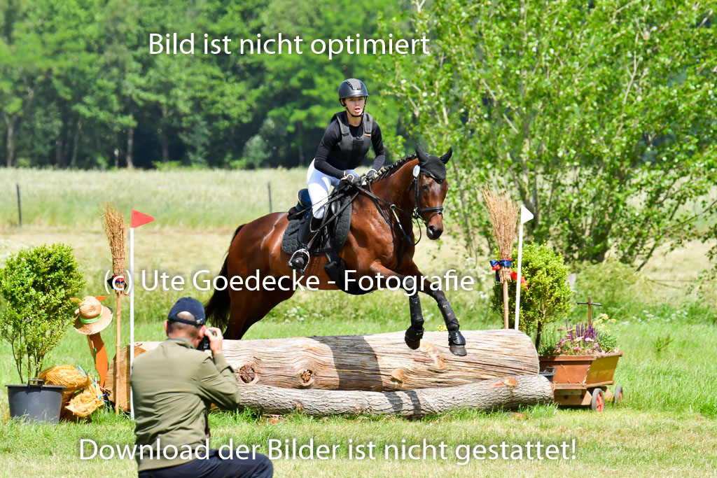 Goldene Schärpe Pferde  in Löningen  11+12.6.22 | 11062022 - Gelände 1 Abt_0793 